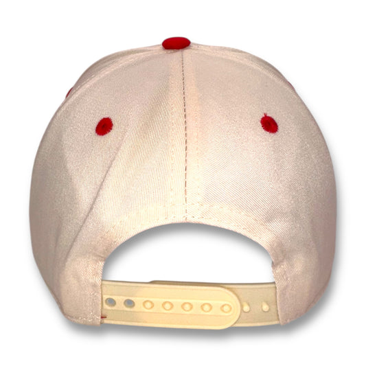 The Speed Racer Hat – Embroidered Corgi | Snapback Cap
