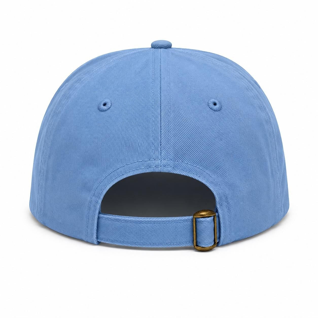 American Retriever Hat - Baby Blue Baseball Hat