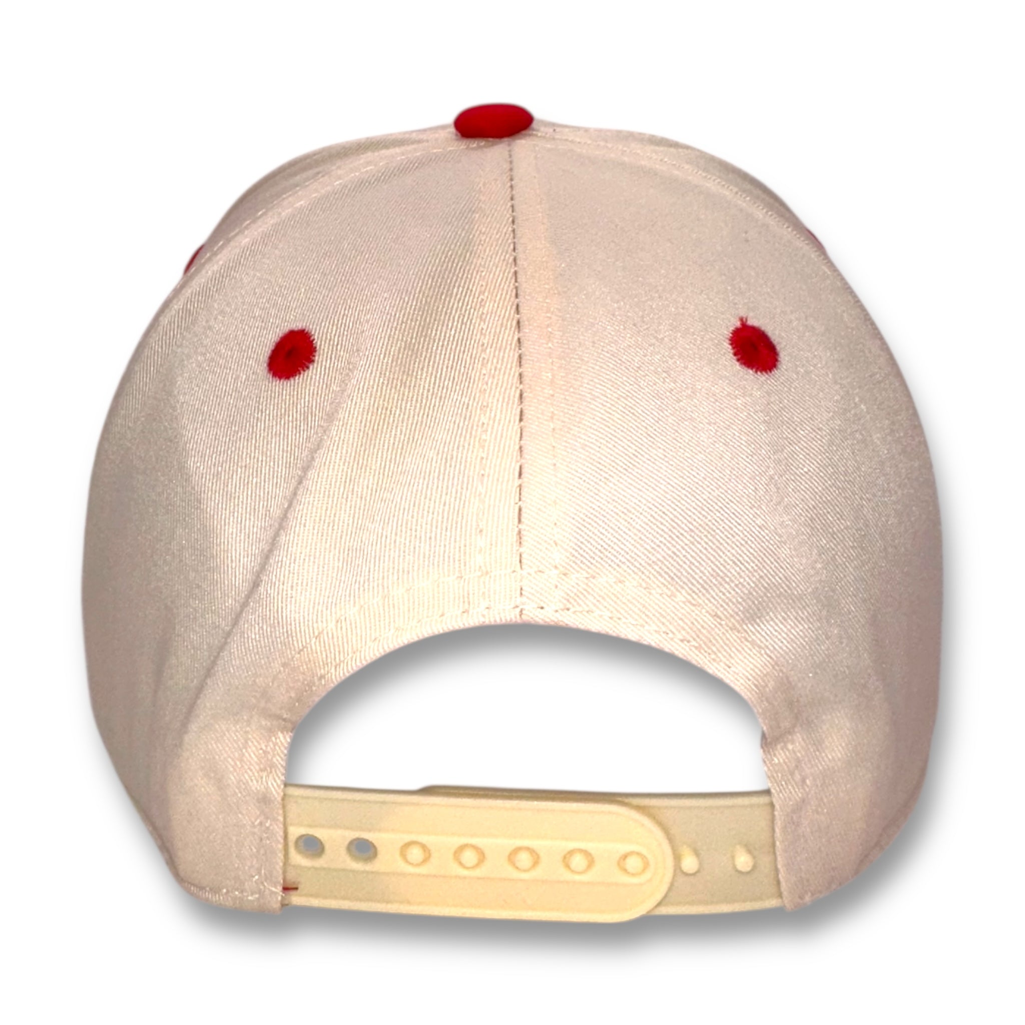 The Speed Racer Hat – Embroidered Corgi | Snapback Cap