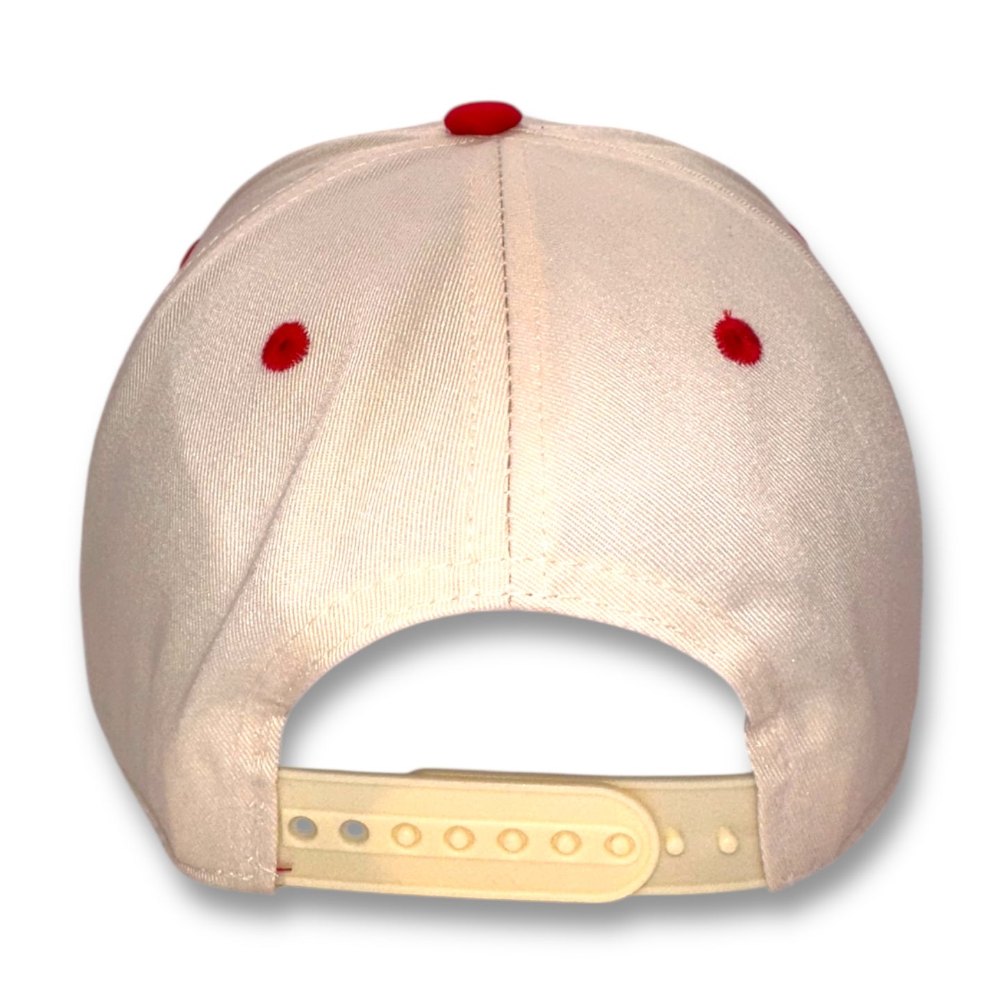 The Speed Racer Hat – Embroidered Corgi | Snapback Cap