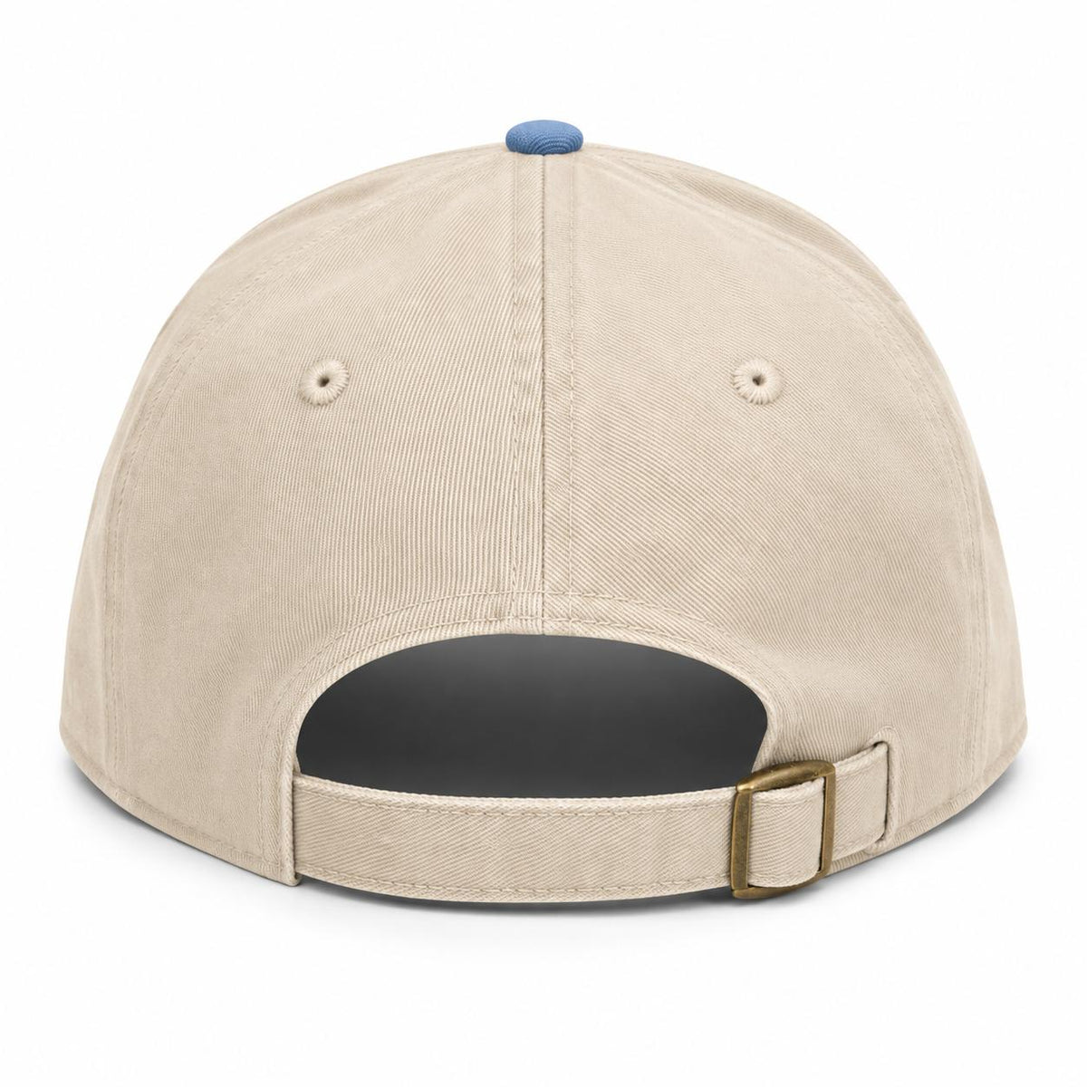txblue-tan-babyblue-baseball-back