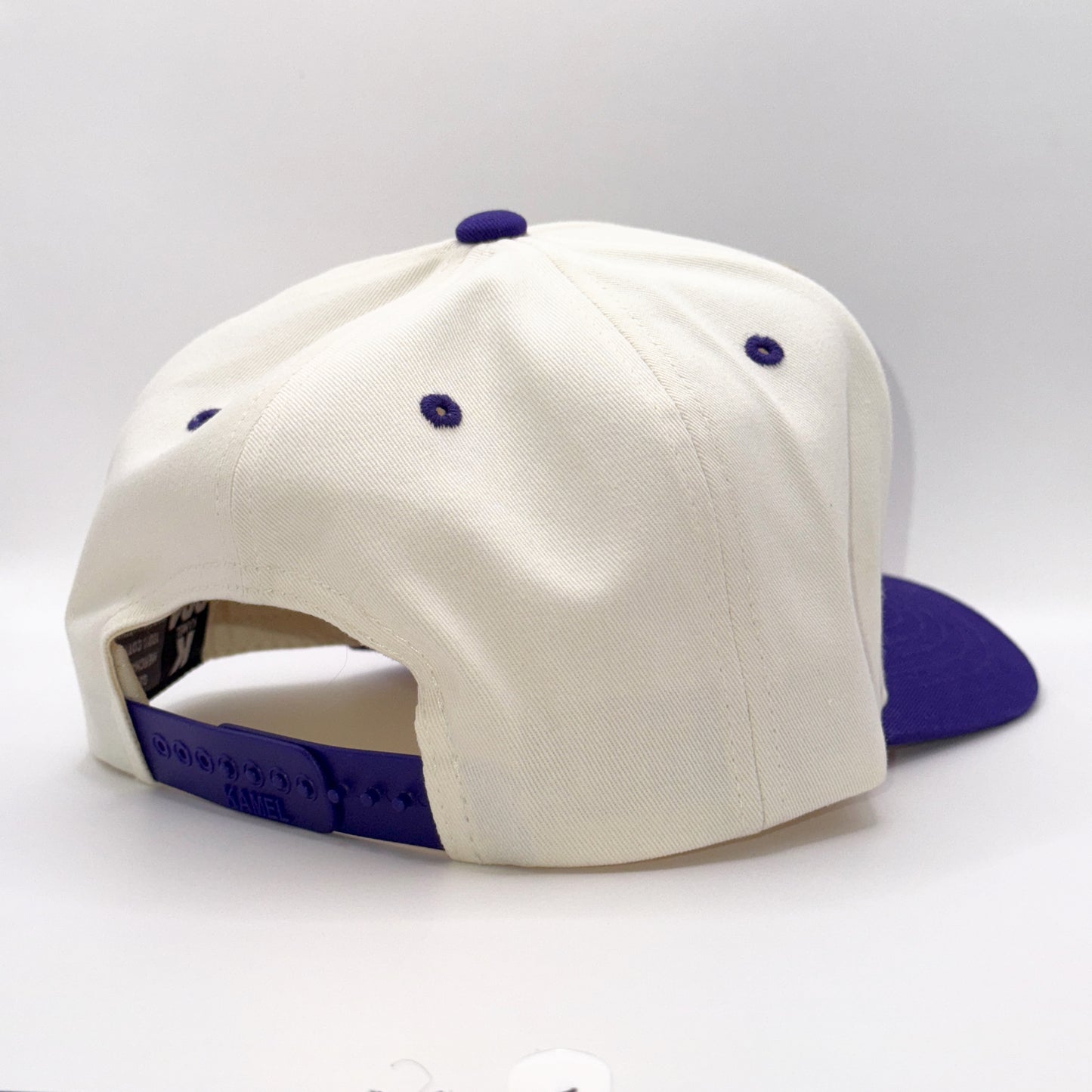 Lounging Raven Tan & Purple Baseball Cap
