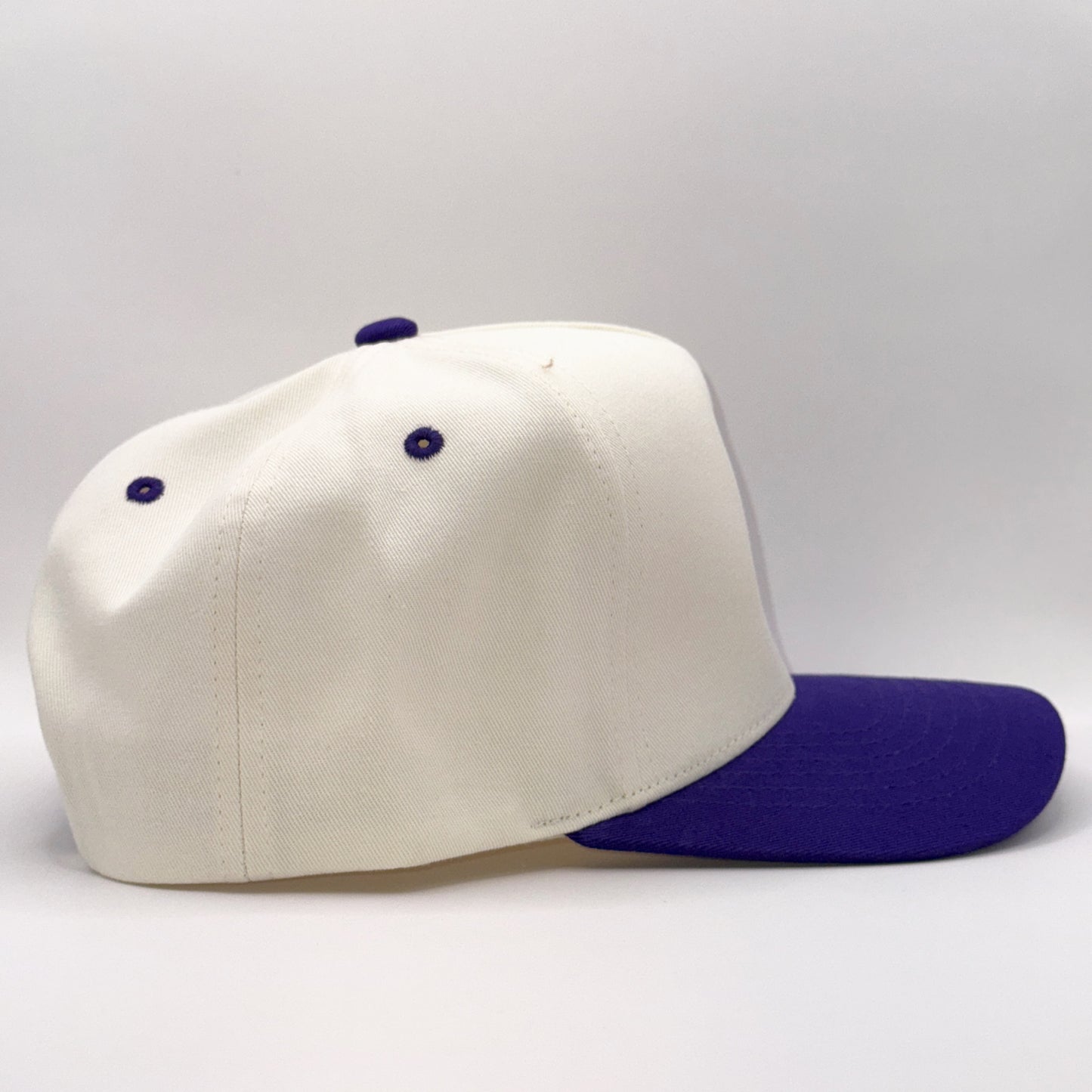 Lounging Raven Tan & Purple Baseball Cap