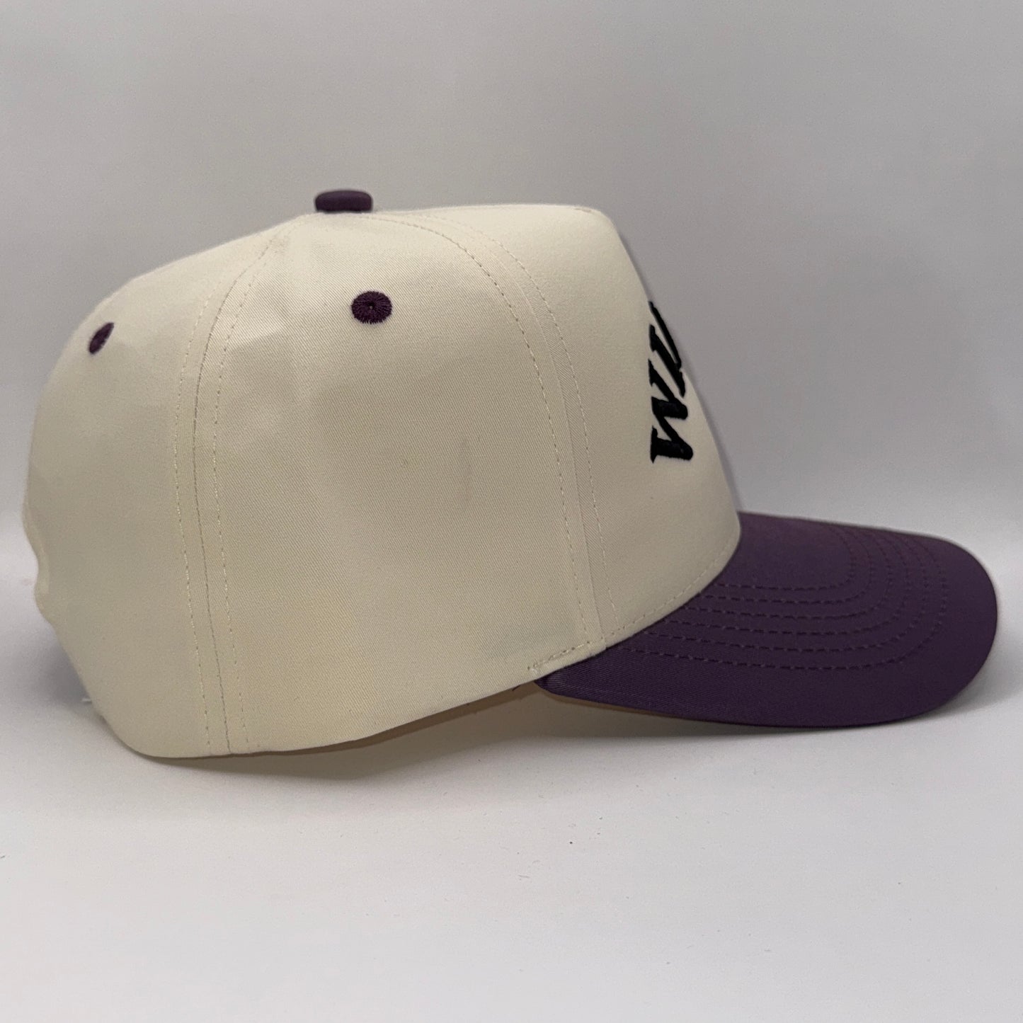 Willie the Wildcat Foam 3D Puff Cap