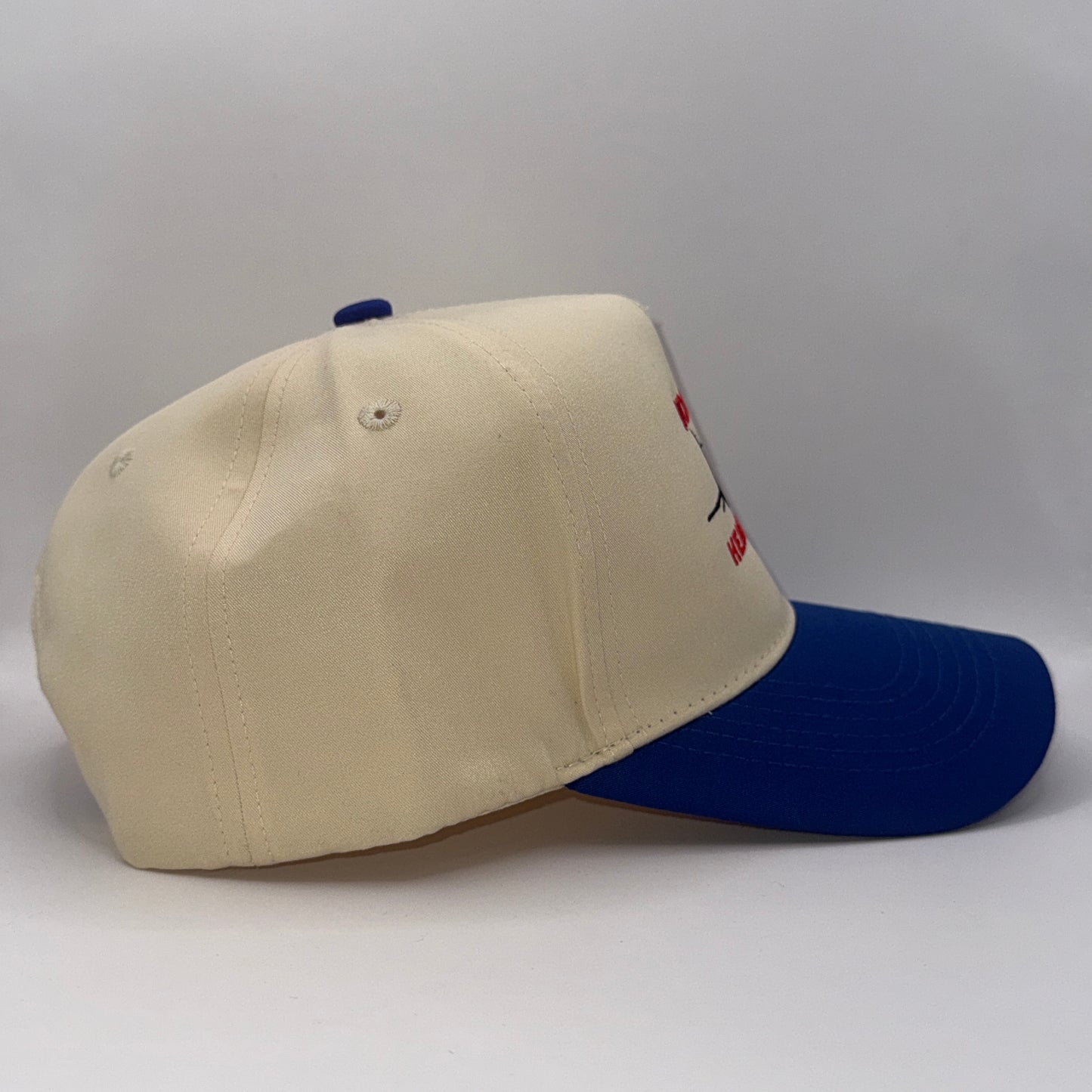 No Free Healthcare Hat
