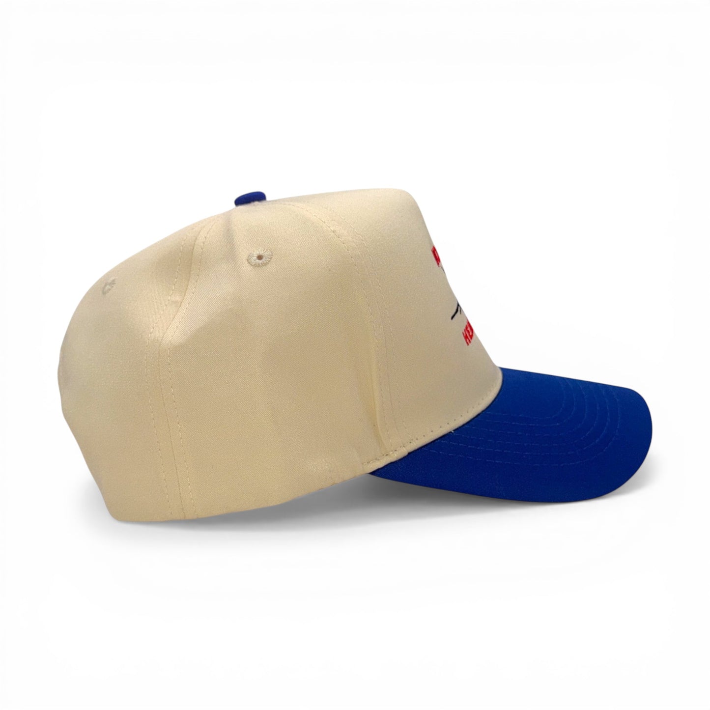 No Free Healthcare Hat – side profile – Mad Capper embroidered hat