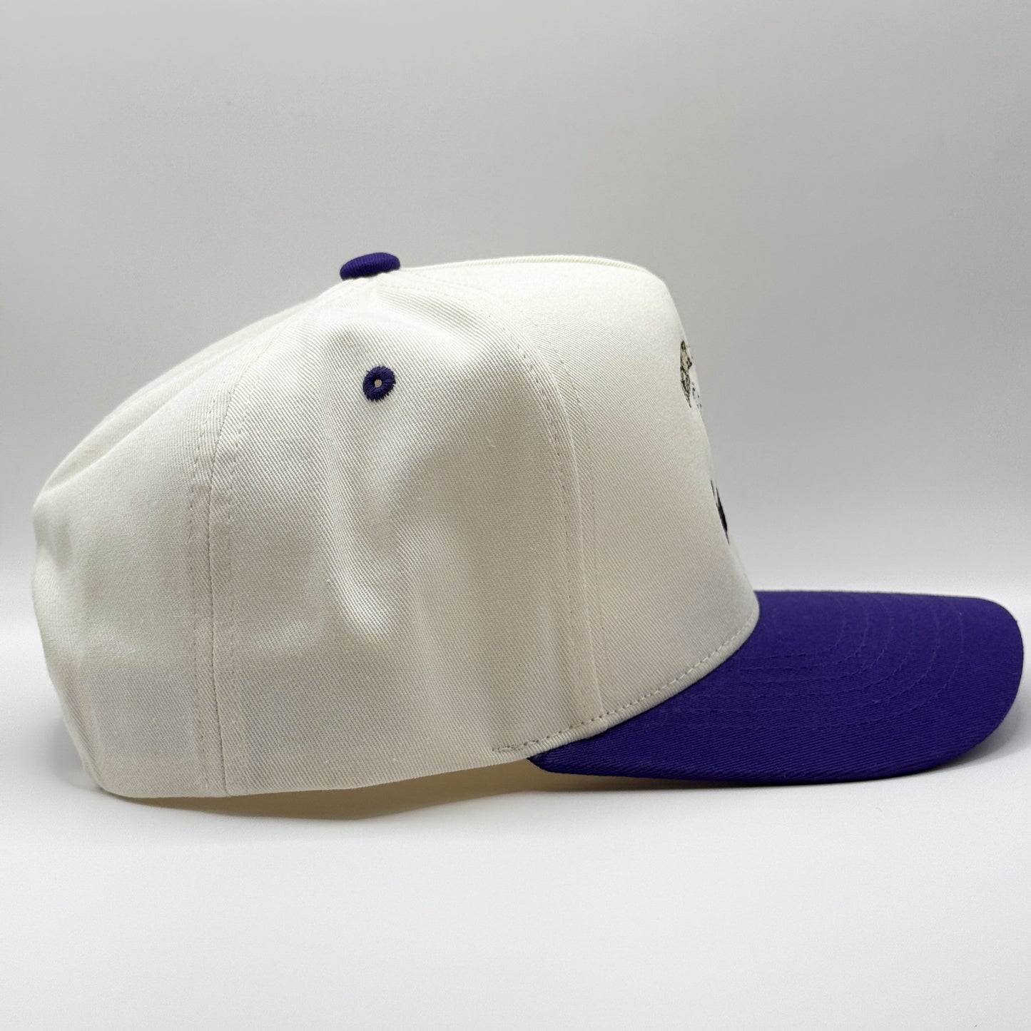 Action Jackson Snapback Baseball Cap