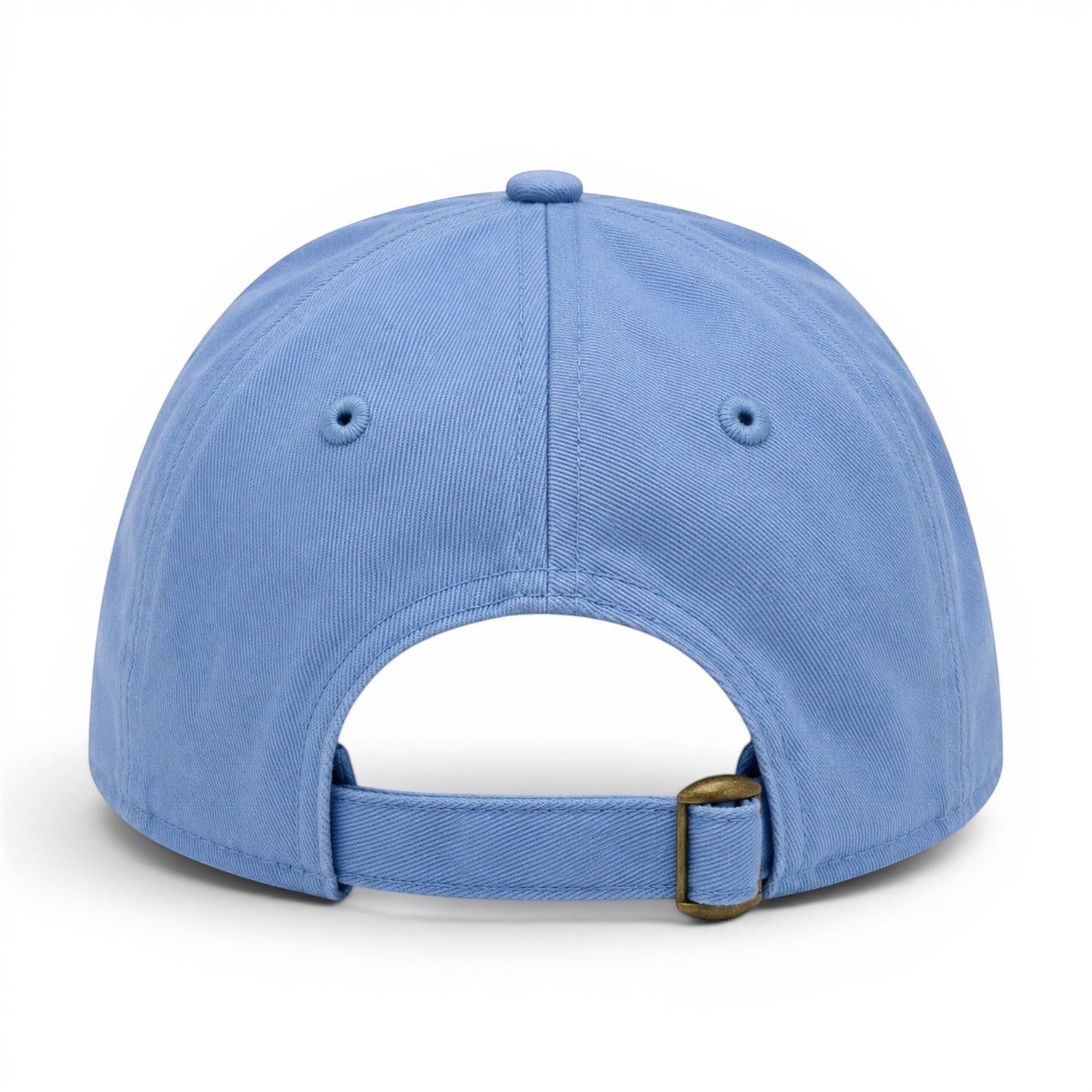Mad Capper Star Spangled Doodle embroidered golden doodle carrying American flag, light blue cotton snapback hat.